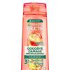 Garnier Fructis Goodbye Damage Keratin Filler 3