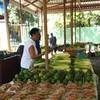 robert.krupinski Reportaż Seszele - mieszkańcy i ich codzienne życie 21