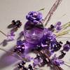 Dolce & Gabbana Dolce Violet 10