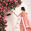 Jo Malone London Taif Rose Cologne Intense 4