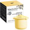 Teaology Kombucha Tea 3