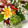 Marc Jacobs Daisy Wild Eau So Intense 20