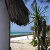 robert.krupinski Podróże Zanzibar - plaża w wiosce Nungwi część 1 30