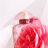 The Merchant of Venice Rosa Moceniga Elixir 29