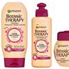Garnier Botanic Therapy 4
