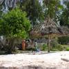 robert.krupinski Podróże Zanzibar - plaża w wiosce Nungwi część 2 19