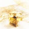 Dolce & Gabbana The One Gold - złoty duet 7