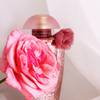 The Merchant of Venice Rosa Moceniga Elixir 18
