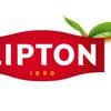 Czas przy kubku herbaty podczas Open'er Festival 10