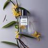 CHANEL Massage Oils for Body 3