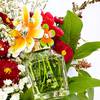 Marc Jacobs Daisy Wild Eau So Intense 14