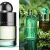 Molton Brown Wild Mint & Lavandin 1