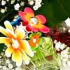 Marc Jacobs Daisy Wild Eau So Intense 6