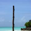robert.krupinski Podróże Zanzibar - plaża w wiosce Nungwi część 1 6