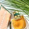 Chloé Nomade Jardin d'Égypte 20