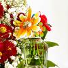Marc Jacobs Daisy Wild Eau So Intense 7