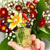 Marc Jacobs Daisy Wild Eau So Intense 21