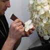 Suknia Carlo Rossi na Fashion Week Poland 5