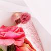The Merchant of Venice Rosa Moceniga Elixir 13
