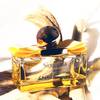 Salvatore Ferragamo Signorina Libera - damski 10