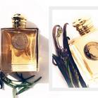 Burberry Goddess Eau de Parfum 1