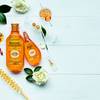 Garnier Botanic Therapy 14