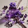 Dolce & Gabbana Dolce Violet 9