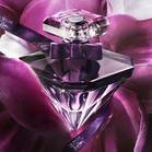 Lancôme La Nuit Trésor Le Parfum 1