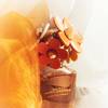 Marc Jacobs Daisy Ever So Fresh 5