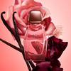 Narciso Rodriguez all of me intense 4