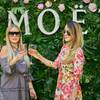 Moët & Chandon Grand Day 44