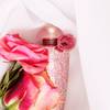 The Merchant of Venice Rosa Moceniga Elixir 11