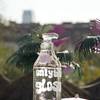 OnlyBio - piana party 25