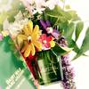 Marc Jacobs Daisy Wild Eau So Extra 16