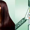 Garnier Fructis Diamond Sleek 5