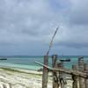 robert.krupinski Podróże Zanzibar - plaża w wiosce Nungwi część 2 12
