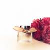 Chloé L'Eau de Parfum Lumineuse 33