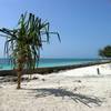 robert.krupinski Podróże Zanzibar - plaża w wiosce Nungwi część 1 31