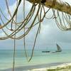 robert.krupinski Podróże Zanzibar - plaża w wiosce Nungwi część 1 36