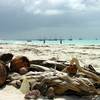 robert.krupinski Podróże Zanzibar - plaża w wiosce Nungwi część 2 18