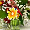 Marc Jacobs Daisy Wild Eau So Intense 18