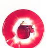 Coach Love Eau de Parfum 5