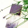 L'Eau d'Issey Pour Homme Solar Lavender 6