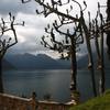 robert.krupinski Podróże Włochy / Lago di Como 19