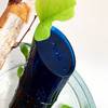Kenzo Homme Eau de Parfum 4