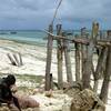 robert.krupinski Podróże Zanzibar - plaża w wiosce Nungwi część 1 12