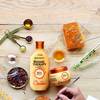 Garnier Botanic Therapy 12