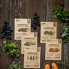 Superfood MBeauty Cosmetics 15