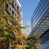 robert.krupinski Architektura Berlin nowocześnie 1