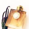 Burberry Goddess Eau de Parfum 3